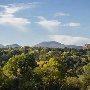 Rêves De Bois , Loubeyrat France